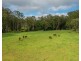 58 NELSONS ROAD, Bago NSW 2446