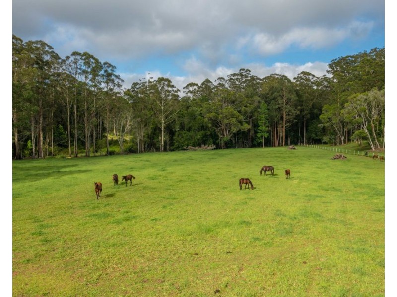 58 NELSONS ROAD, Bago NSW 2446