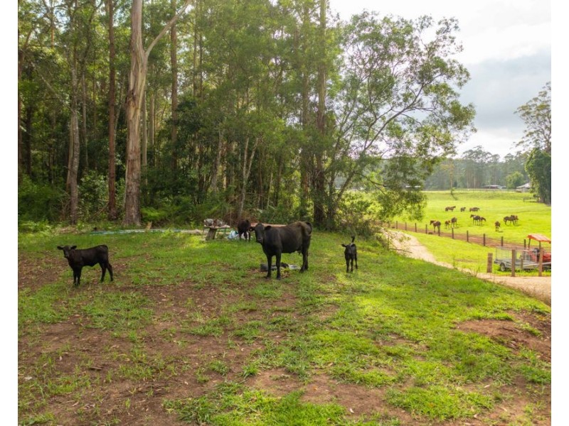 58 NELSONS ROAD, Bago NSW 2446