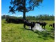 Lot 2 Upper Smiths Creek Road, Kundabung NSW 2441