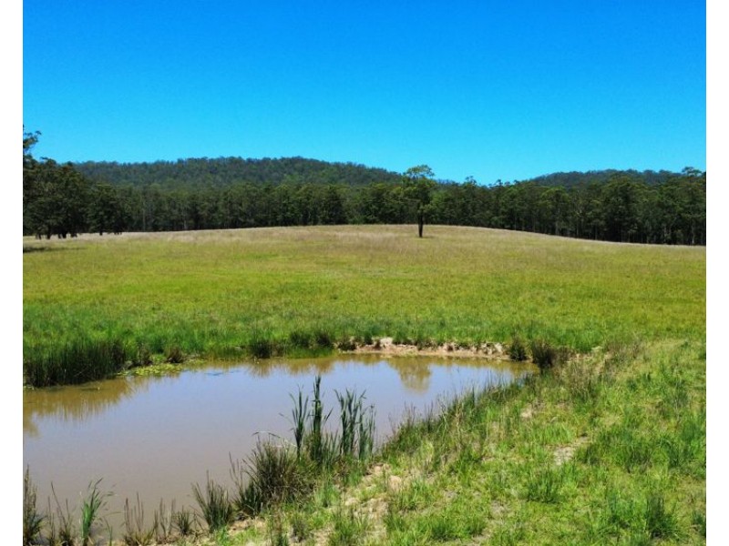 Lot 2 Upper Smiths Creek Road, Kundabung NSW 2441