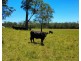 Lot 2 Upper Smiths Creek Road, Kundabung NSW 2441