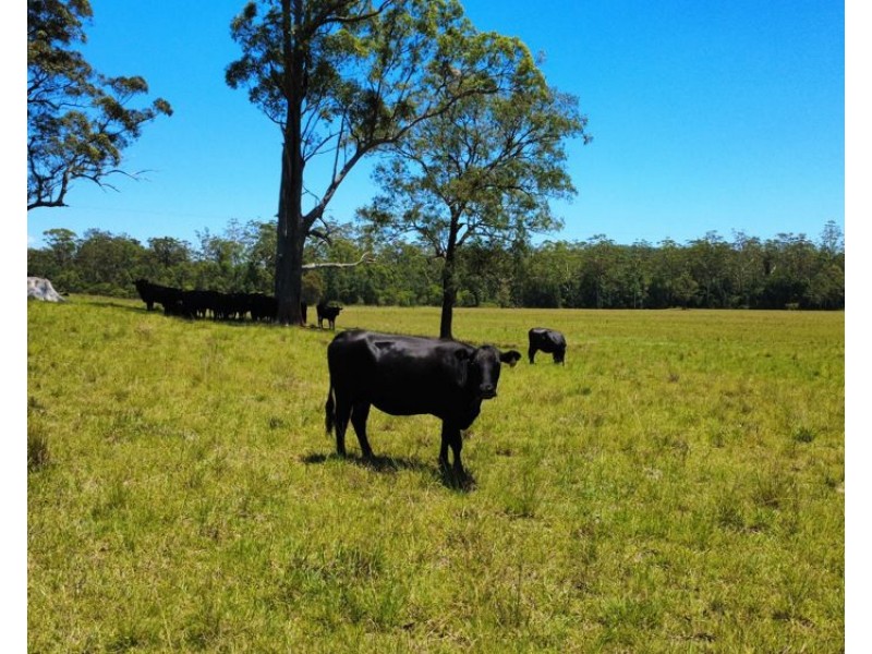 Lot 2 Upper Smiths Creek Road, Kundabung NSW 2441