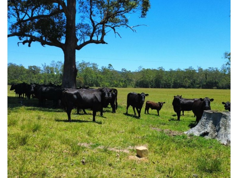 Lot 2 Upper Smiths Creek Road, Kundabung NSW 2441