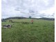 86 Myall Scrub Creek Road, Ballengarra NSW 2441