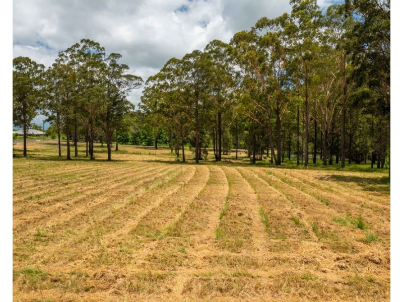Various Lots Inches Rd, Verges Creek NSW 2440