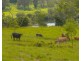 Dondingalong NSW 2440