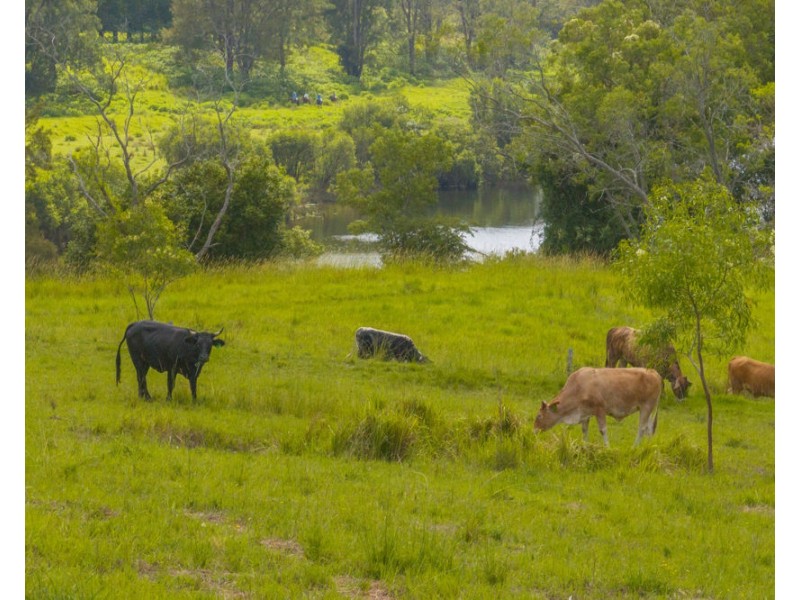 Dondingalong NSW 2440