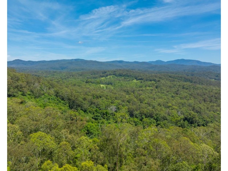 384 Eastern Boundary Road, Rollands Plains NSW 2441