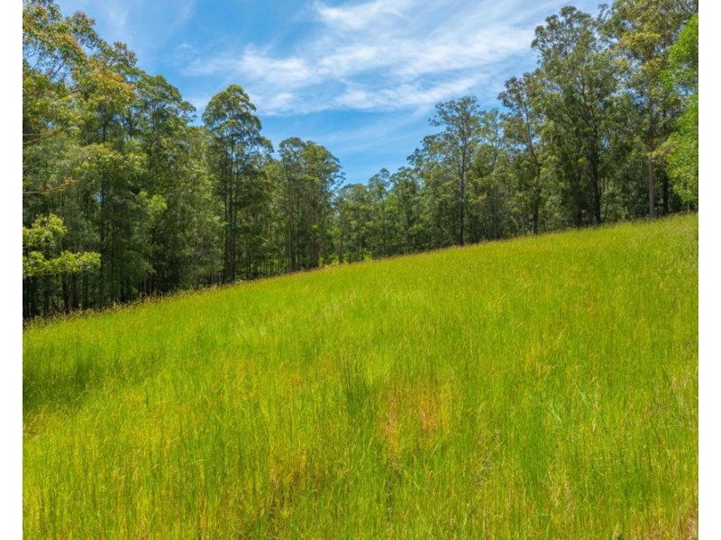 384 Eastern Boundary Road, Rollands Plains NSW 2441