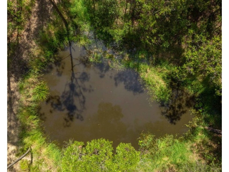 384 Eastern Boundary Road, Rollands Plains NSW 2441