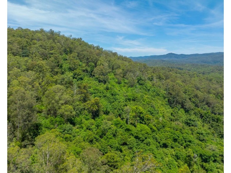 384 Eastern Boundary Road, Rollands Plains NSW 2441