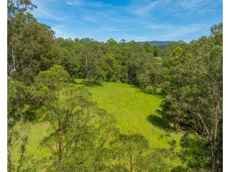 384 Eastern Boundary Road, Rollands Plains NSW 2441