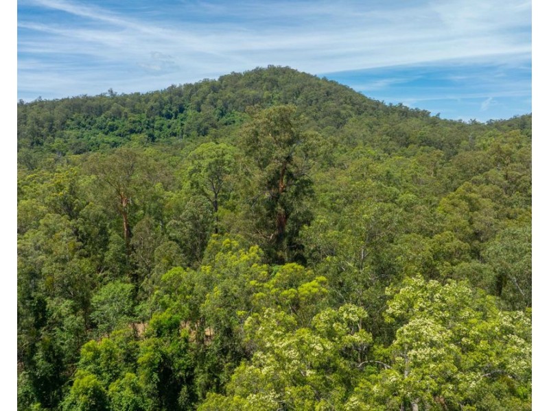 384 Eastern Boundary Road, Rollands Plains NSW 2441