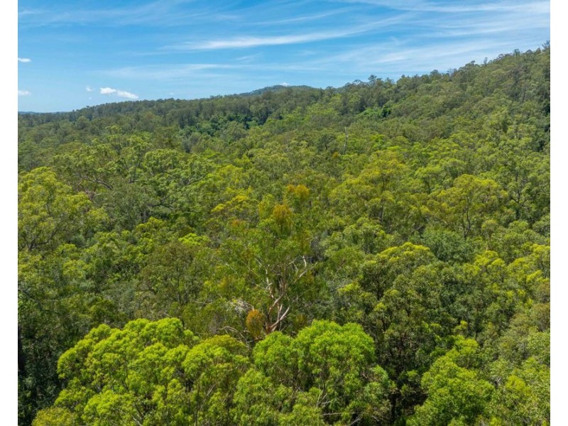 384 Eastern Boundary Road, Rollands Plains NSW 2441