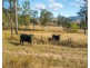 Jasper Creek Road, Mount Seaview NSW 2446