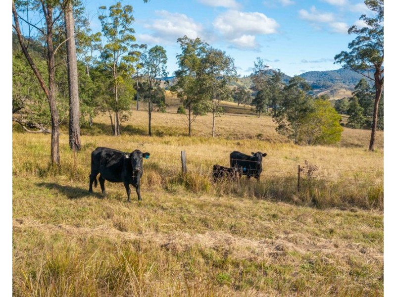 Jasper Creek Road, Mount Seaview NSW 2446