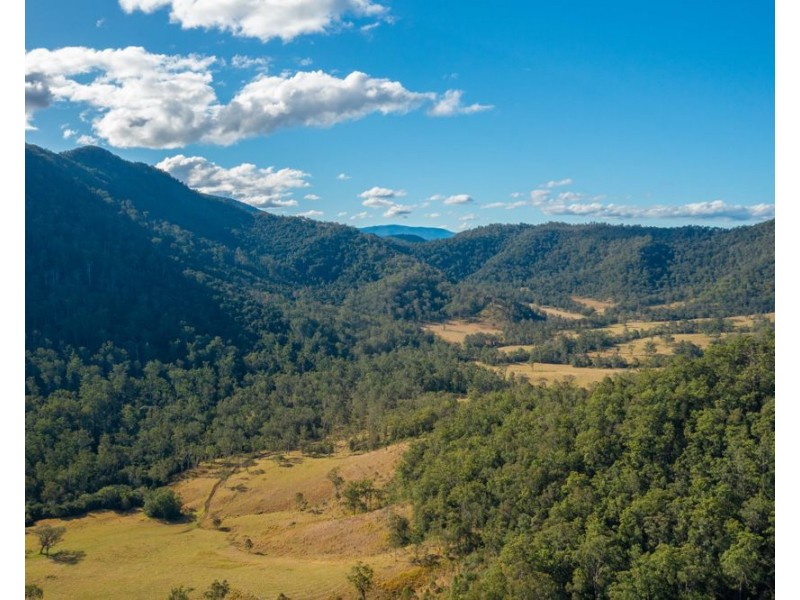 Jasper Creek Road, Mount Seaview NSW 2446