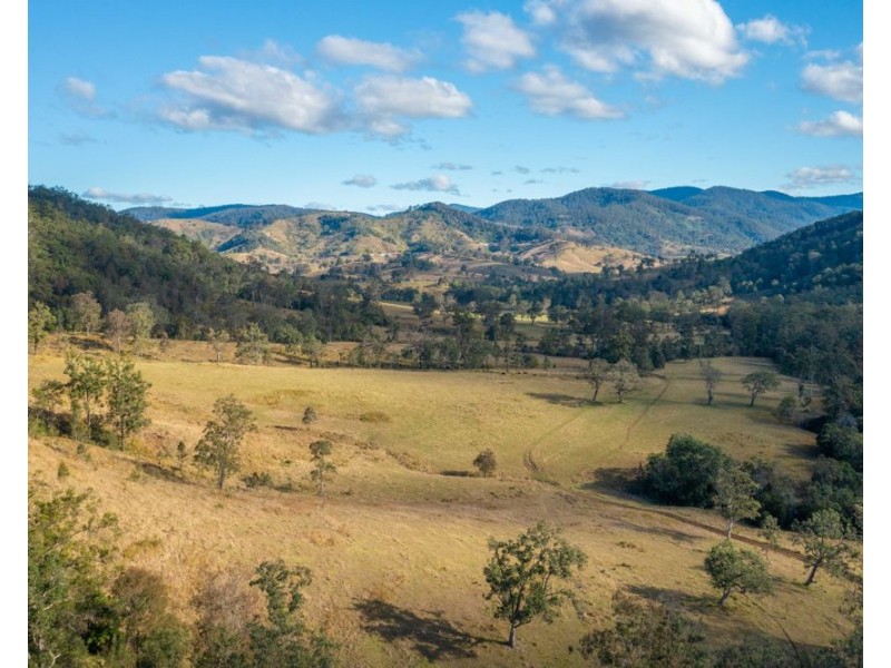 Jasper Creek Road, Mount Seaview NSW 2446