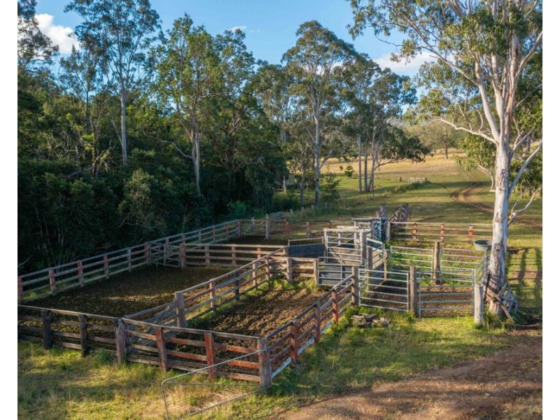 Jasper Creek Road, Mount Seaview NSW 2446