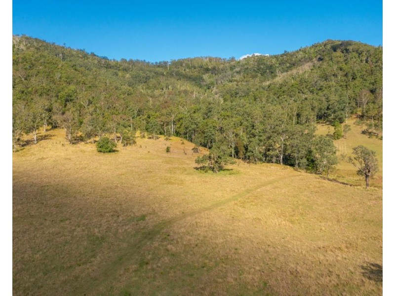 Jasper Creek Road, Mount Seaview NSW 2446