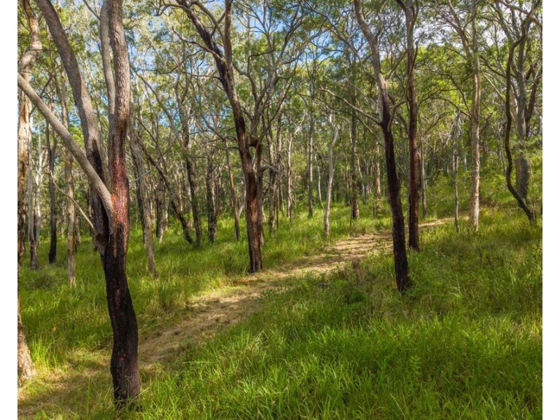 391 Loftus Road, Crescent Head NSW 2440