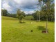 1905 COLLOMBATTI ROAD, Collombatti NSW 2440