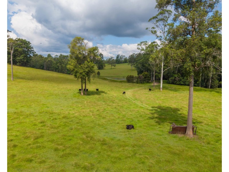 1905 COLLOMBATTI ROAD, Collombatti NSW 2440