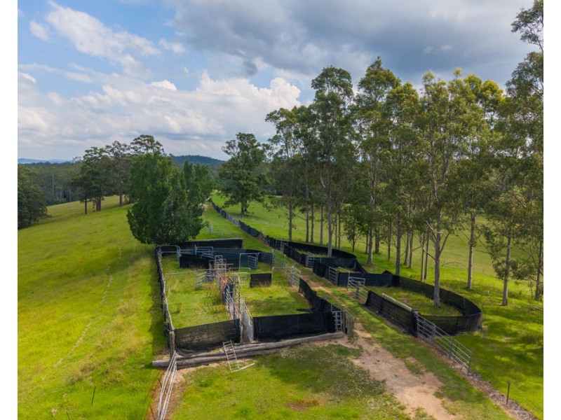 1905 COLLOMBATTI ROAD, Collombatti NSW 2440