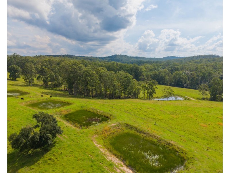 1905 COLLOMBATTI ROAD, Collombatti NSW 2440