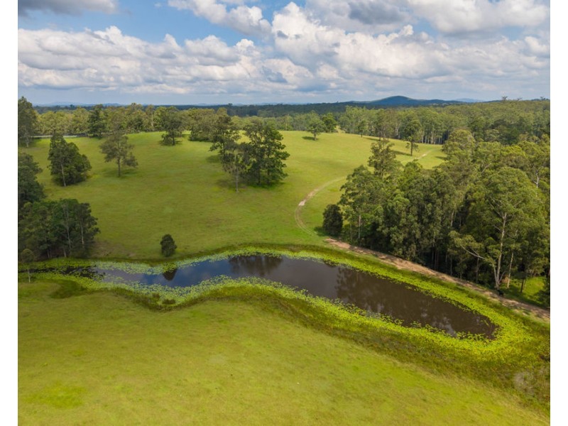1905 COLLOMBATTI ROAD, Collombatti NSW 2440