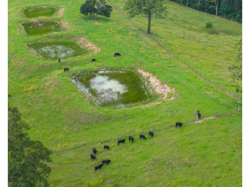 1905 COLLOMBATTI ROAD, Collombatti NSW 2440