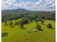 1905 COLLOMBATTI ROAD, Collombatti NSW 2440