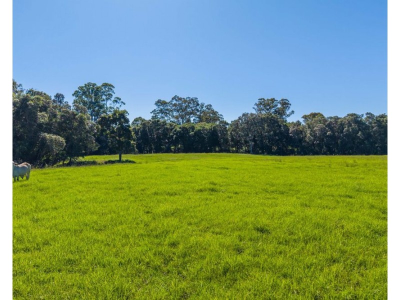 42 Bunderra Drive, Beechwood NSW 2446