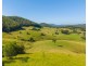 1052 Pipeclay Road, Pipeclay NSW 2446