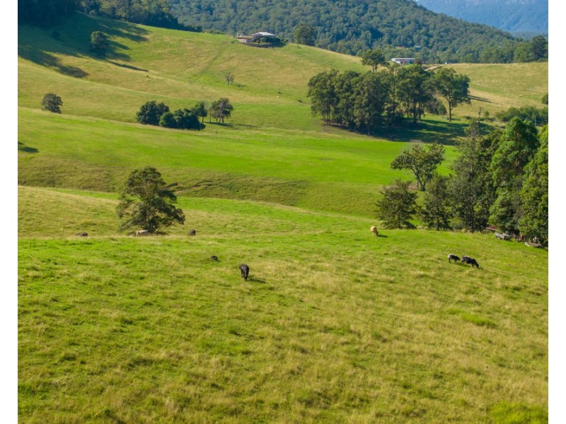 1052 Pipeclay Road, Pipeclay NSW 2446