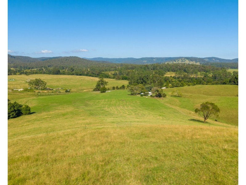 1052 Pipeclay Road, Pipeclay NSW 2446