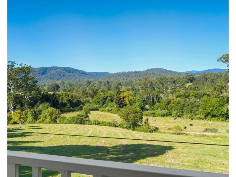 1052 Pipeclay Road, Pipeclay NSW 2446