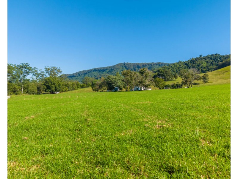 1052 Pipeclay Road, Pipeclay NSW 2446