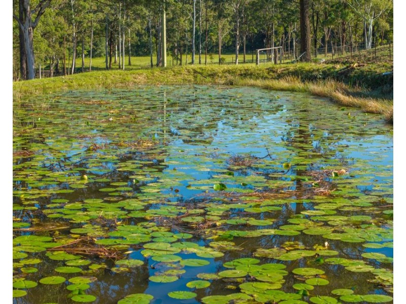 91 Haydons Wharf Road, Telegraph Point NSW 2441