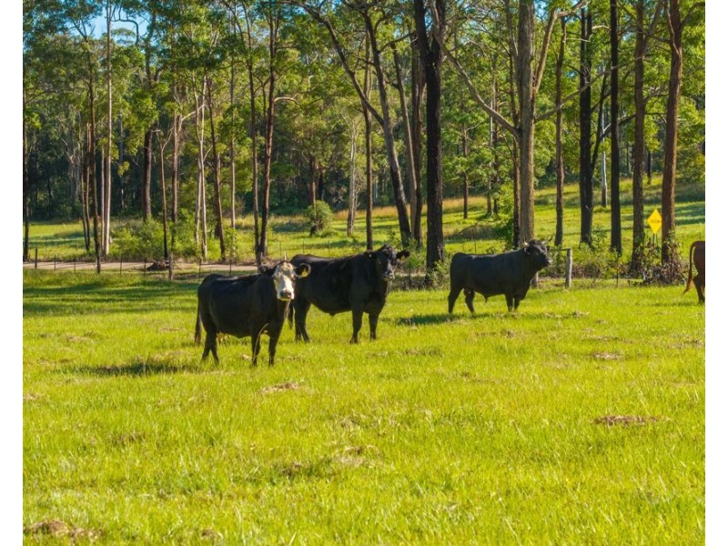 91 Haydons Wharf Road, Telegraph Point NSW 2441