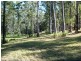 Wauchope NSW 2446