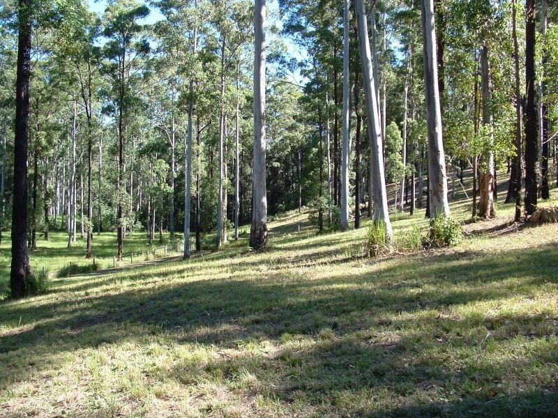 Wauchope NSW 2446