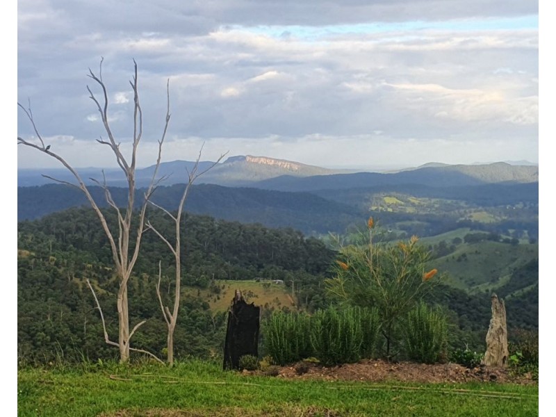 1190 Ponsfords Road, Comboyne NSW 2429