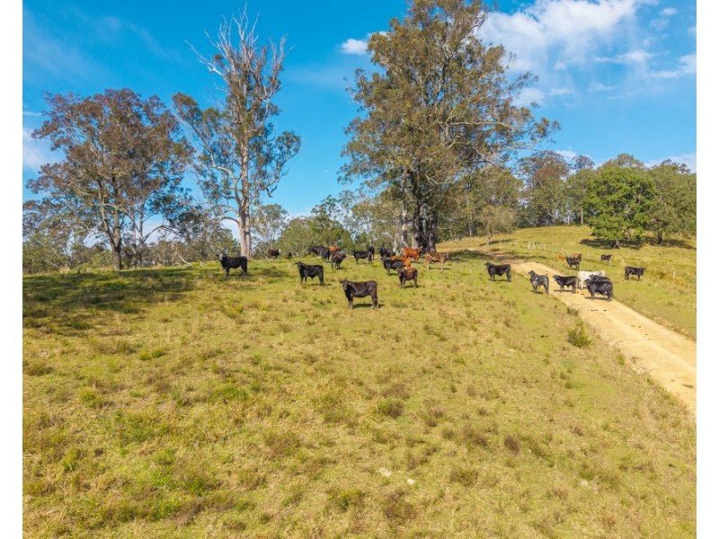 449 Hickeys Creek Road, Millbank NSW 2440