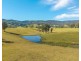 449 Hickeys Creek Road, Millbank NSW 2440