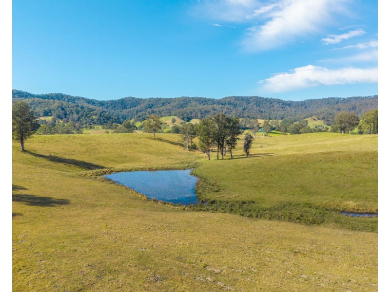 449 Hickeys Creek Road, Millbank NSW 2440