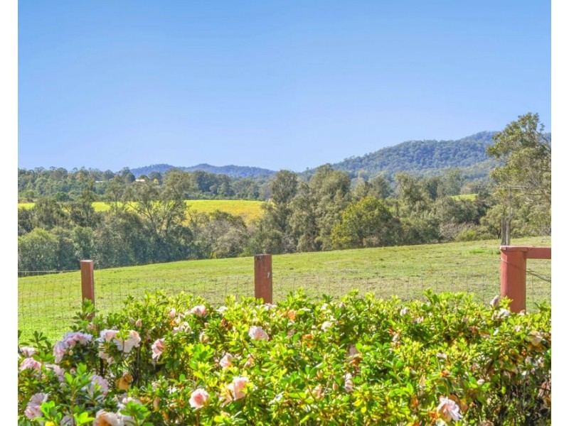 449 Hickeys Creek Road, Millbank NSW 2440