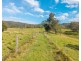 449 Hickeys Creek Road, Millbank NSW 2440