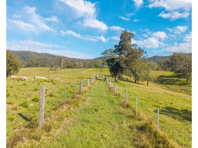 449 Hickeys Creek Road, Millbank NSW 2440